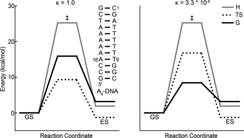 Figure 33.