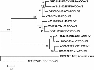 Fig. 2