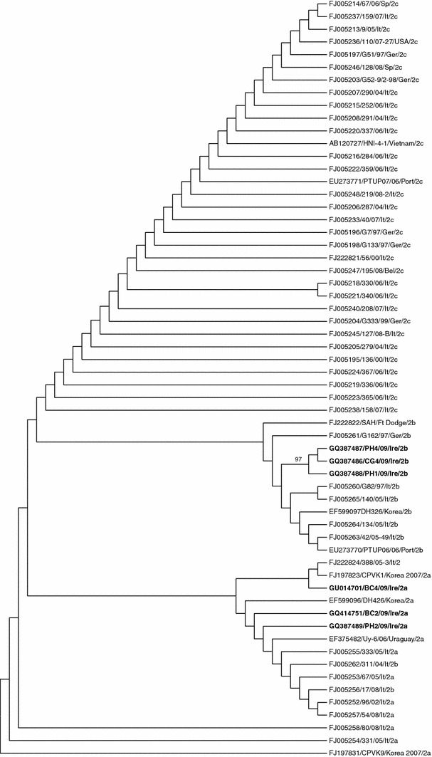 Fig. 1