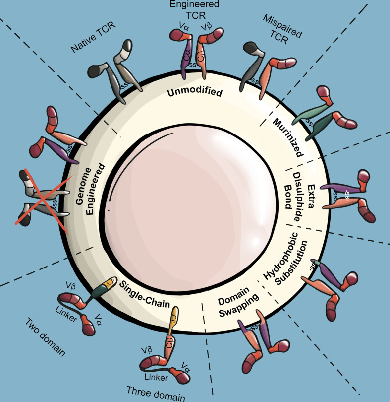 Figure 4