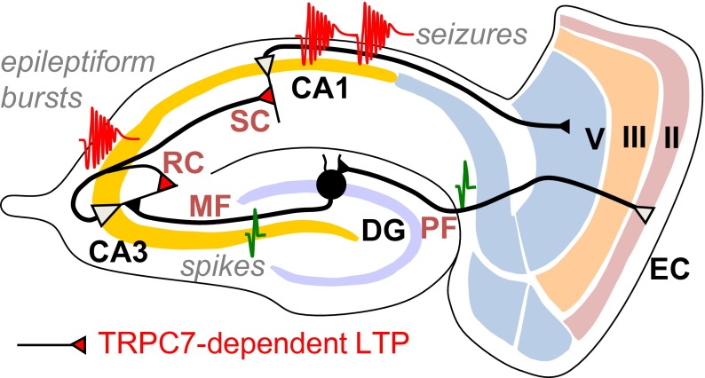 Fig. 6.