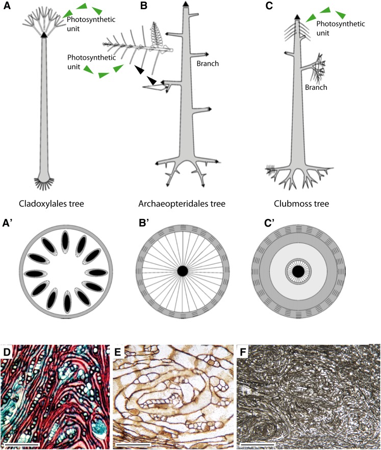 Figure 4.