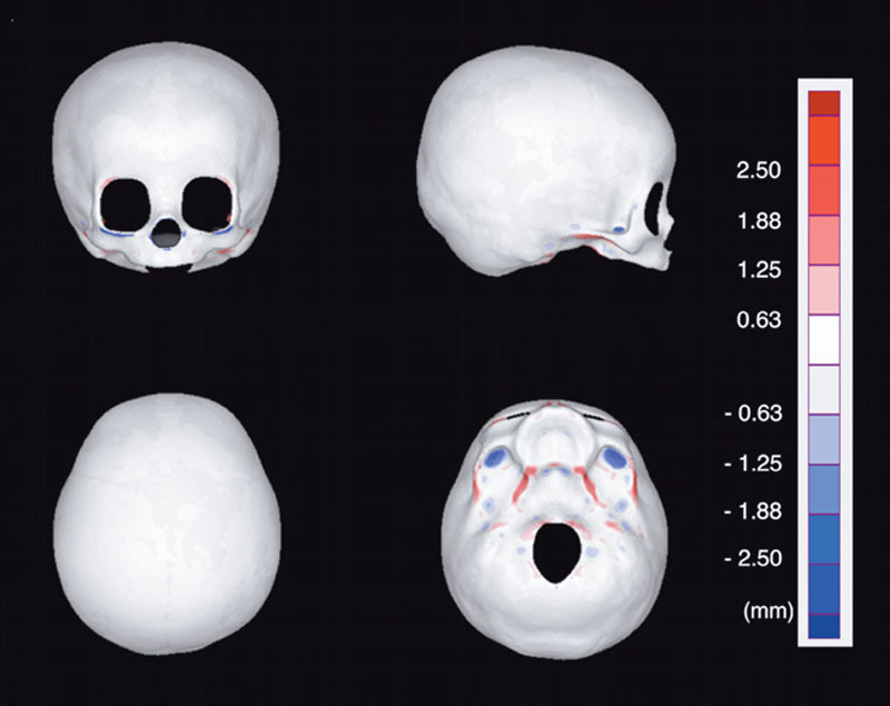 Fig. 6.