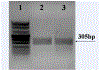 Fig. 7: