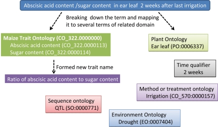 Fig. 3