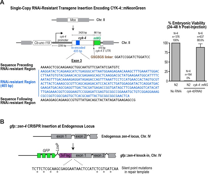 Figure 1—figure supplement 1.