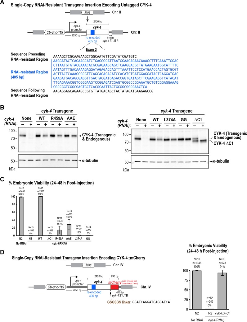 Figure 5—figure supplement 1.