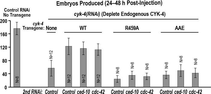 Figure 6—figure supplement 2.