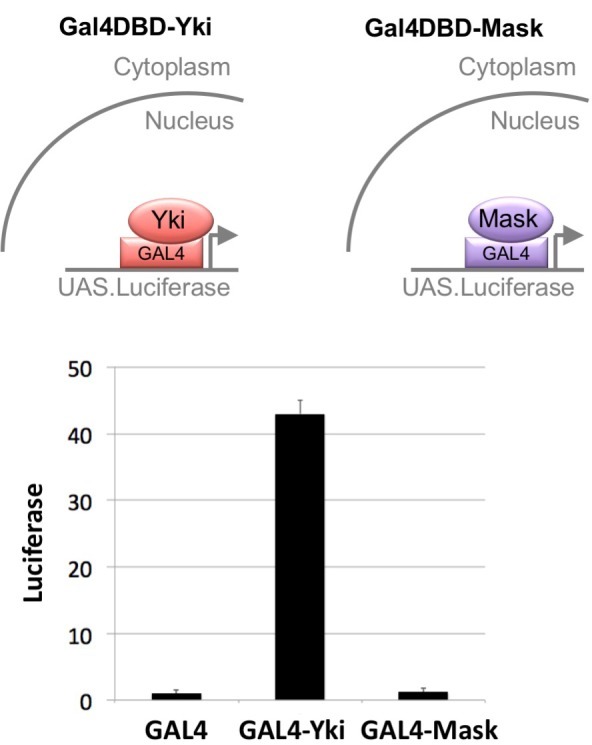 Figure 1—figure supplement 1.