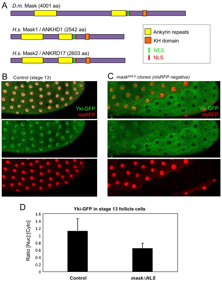 Figure 2.