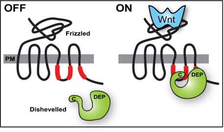 Fig. P1.