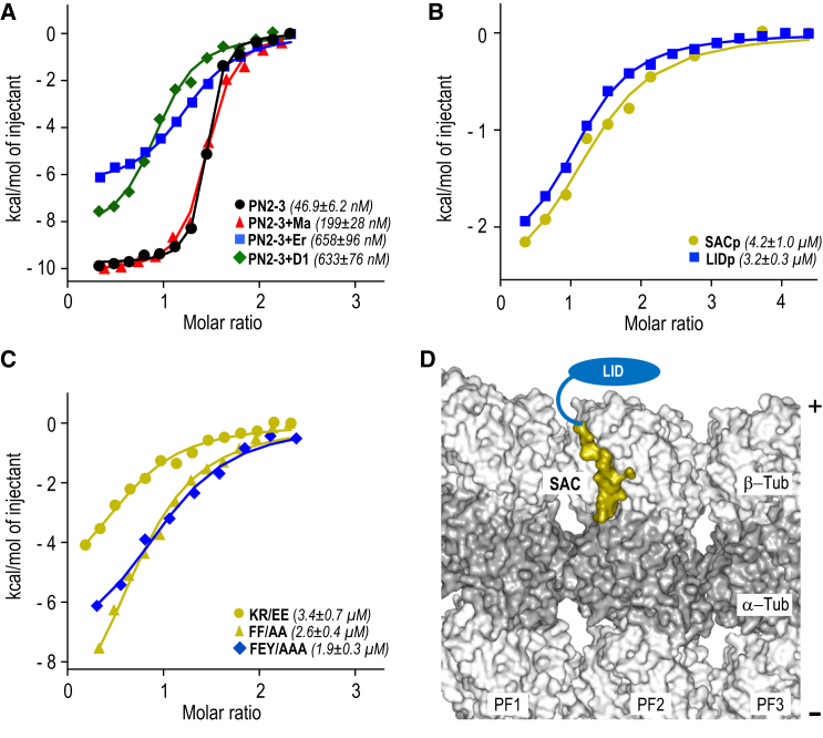 Figure 2