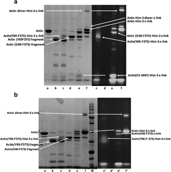 Fig. 9