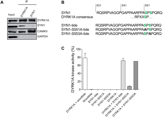 Fig. 9.