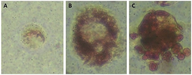 Figure 2.