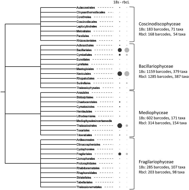 Figure 6.