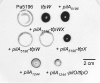 FIG. 9.
