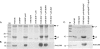 FIG. 10.