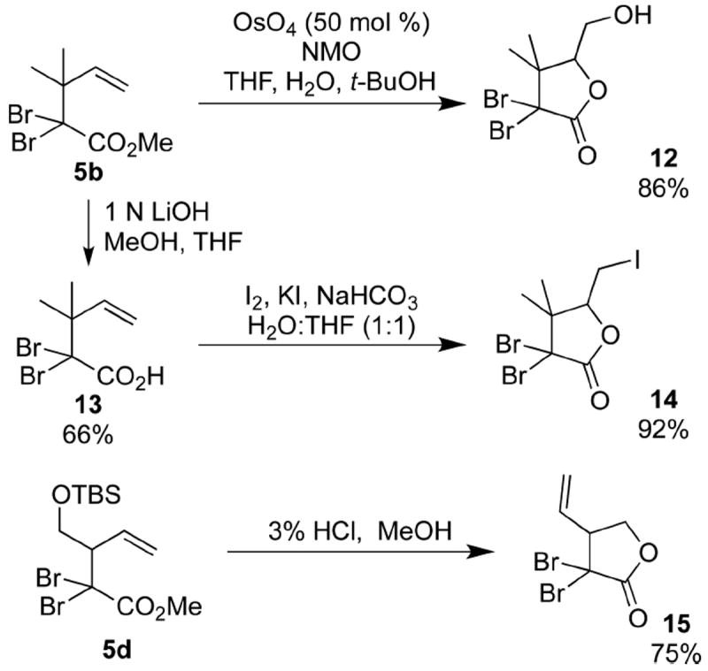 Scheme 8
