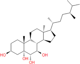 graphic file with name fchem-09-719949-fx15.jpg