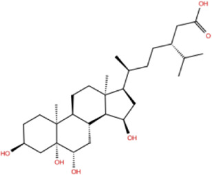 graphic file with name fchem-09-719949-fx10.jpg