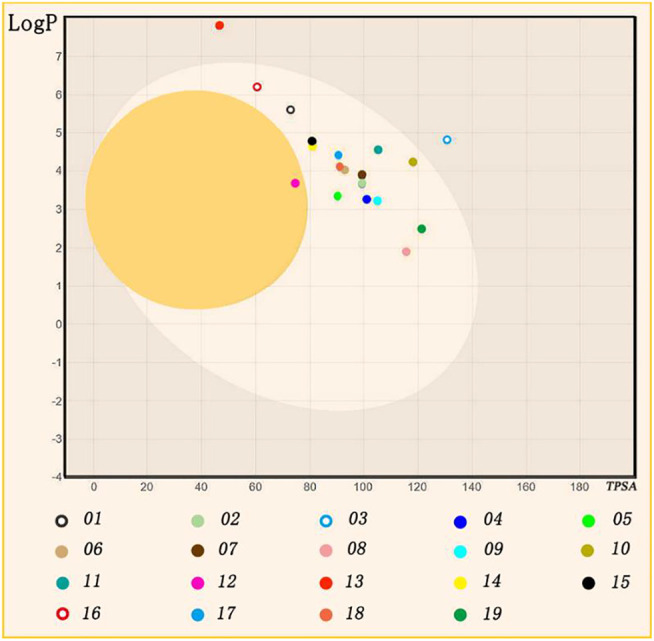 FIGURE 6