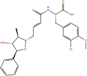 graphic file with name fchem-09-719949-fx9.jpg