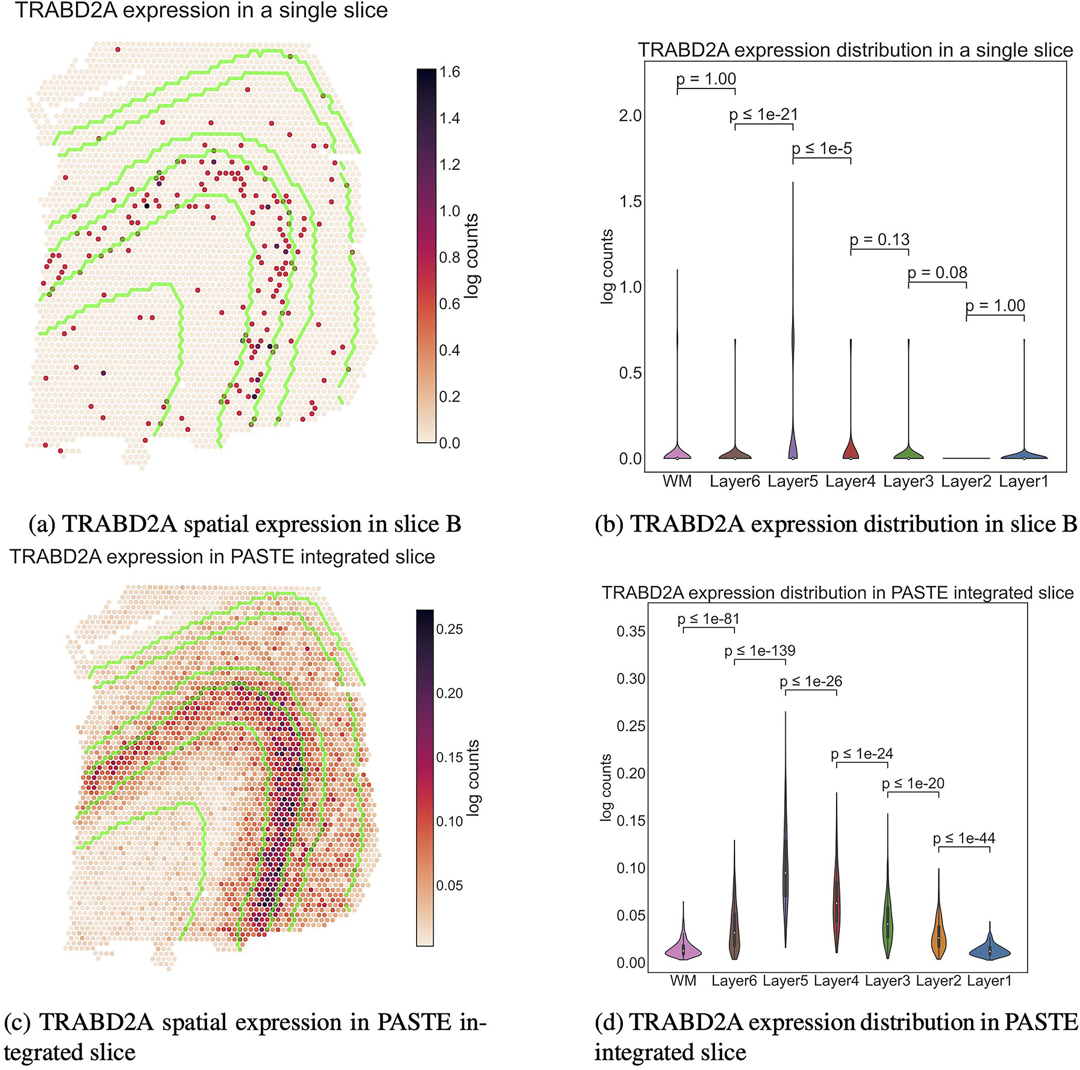 Extended Data Fig. 8