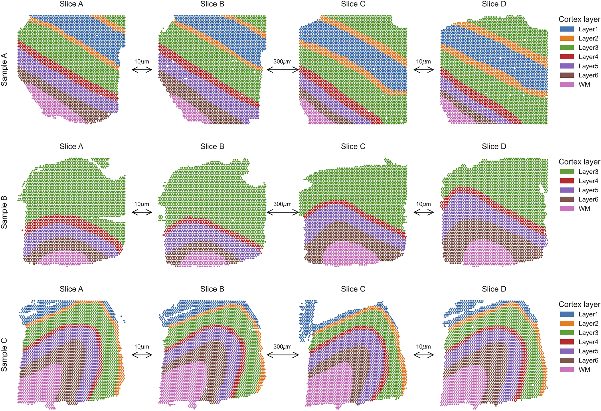 Extended Data Fig. 5