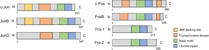 Figure 1