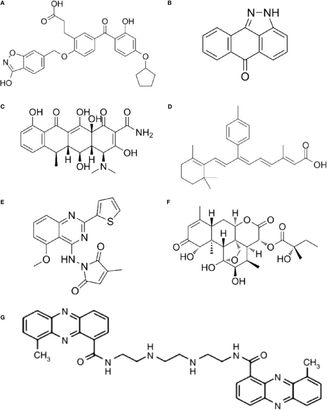 Figure 2