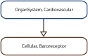 Fig 8