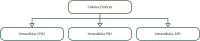 Fig 10