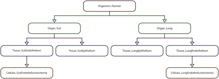 Fig 11