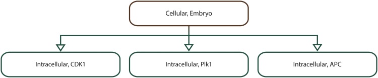 Fig 10