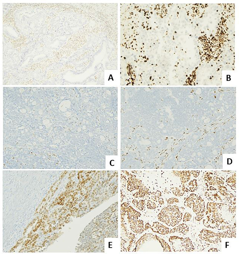 Figure 2