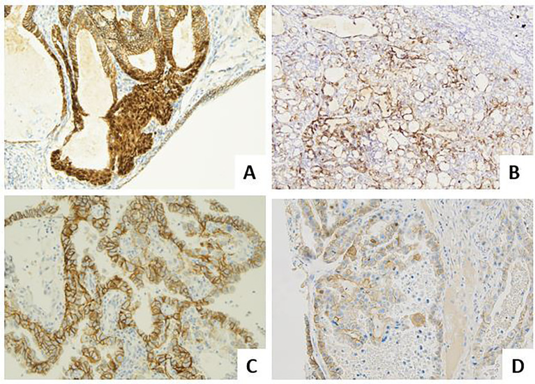 Figure 3