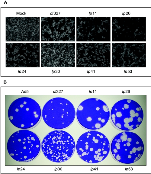 FIG. 2.