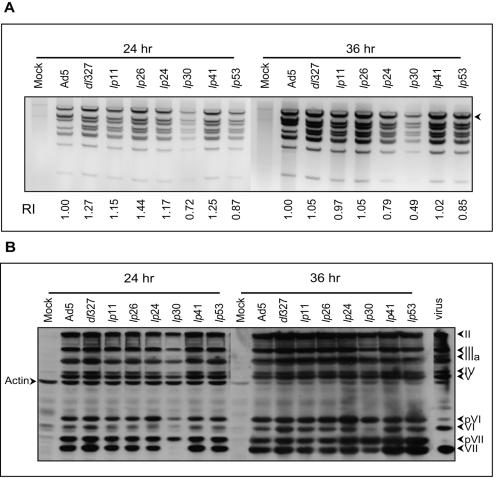 FIG. 4.