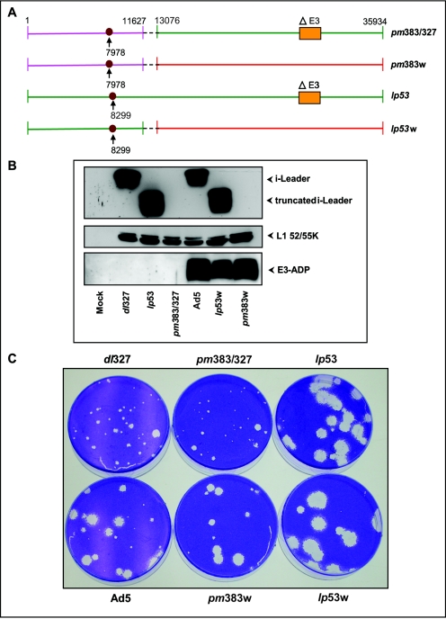 FIG. 7.