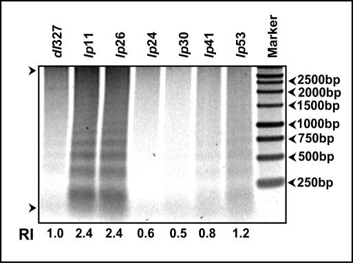 FIG. 6.