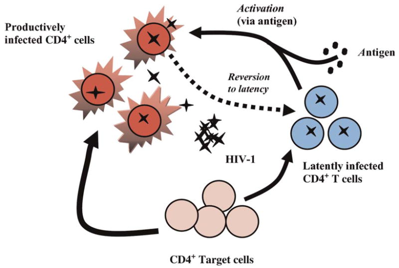 FIGURE 3