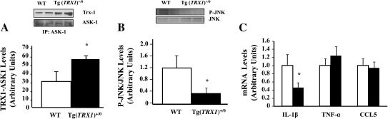 Figure 10.