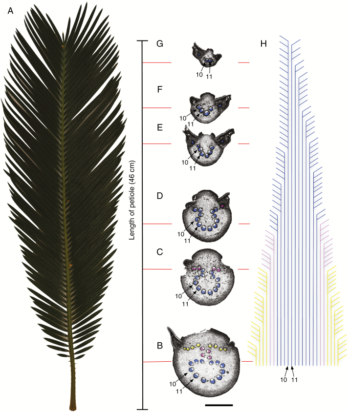 Fig. 2.