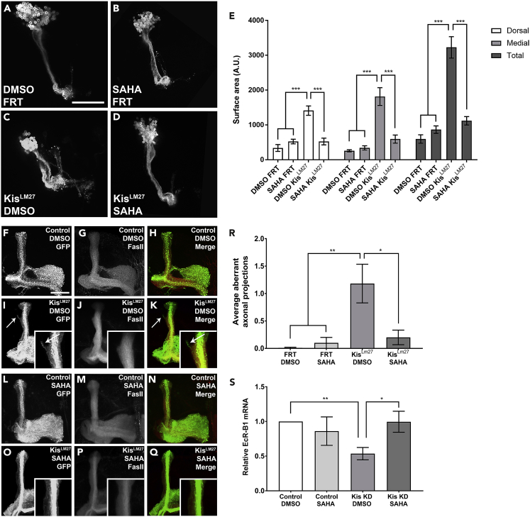 Figure 6