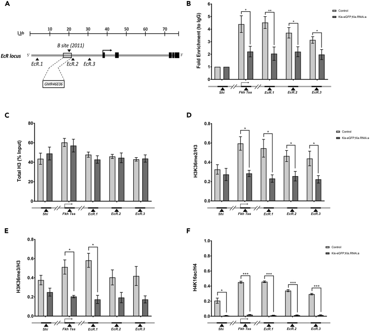 Figure 2