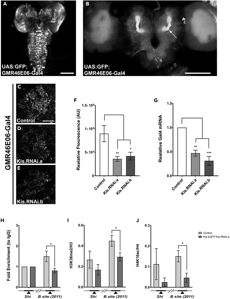 Figure 3