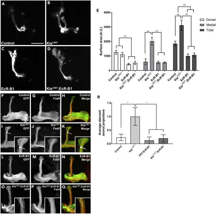 Figure 4