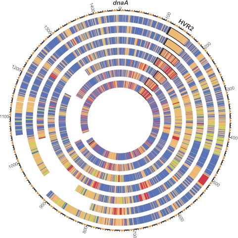 FIG 6 