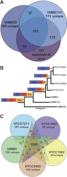 FIG 2 